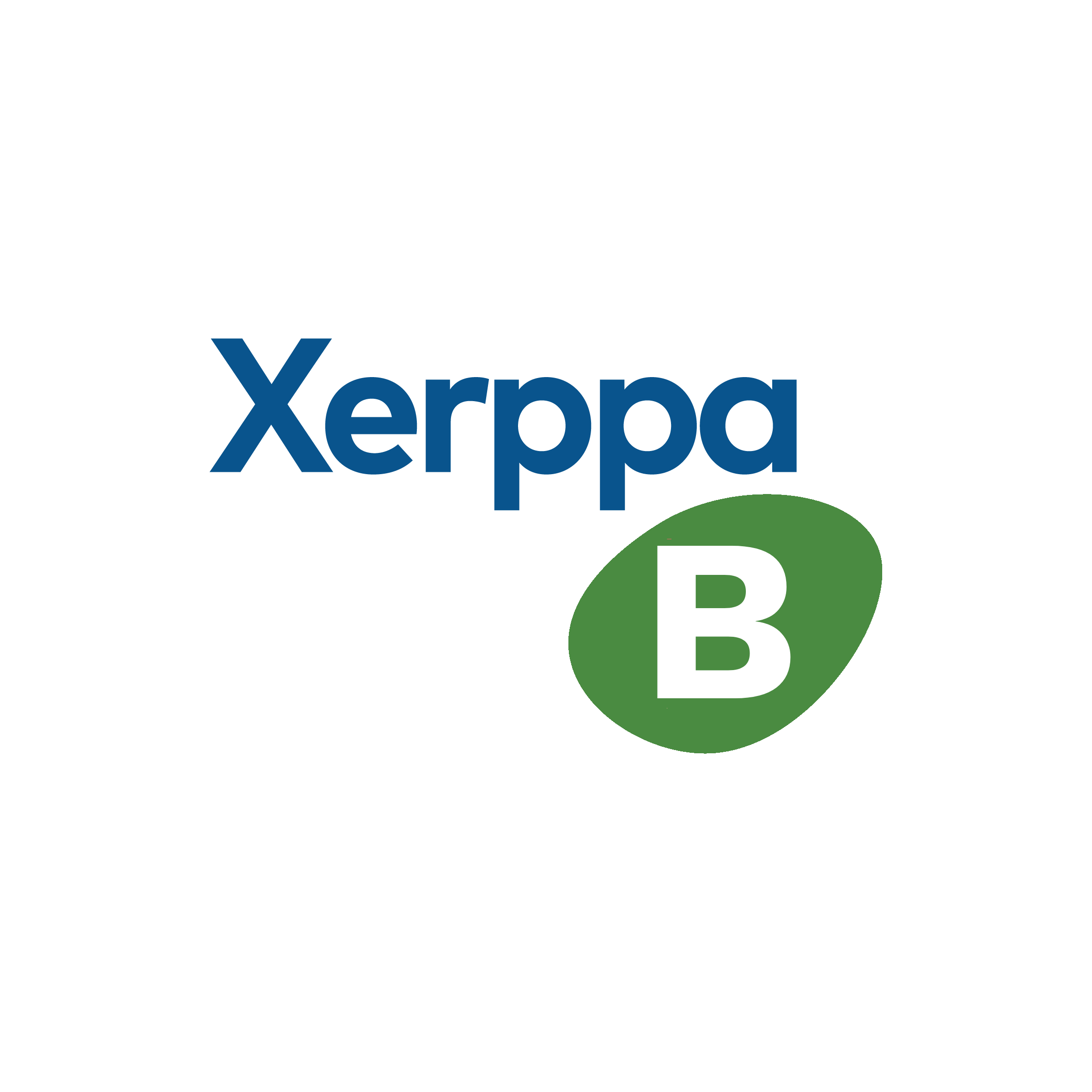 Xerppa for banks logo